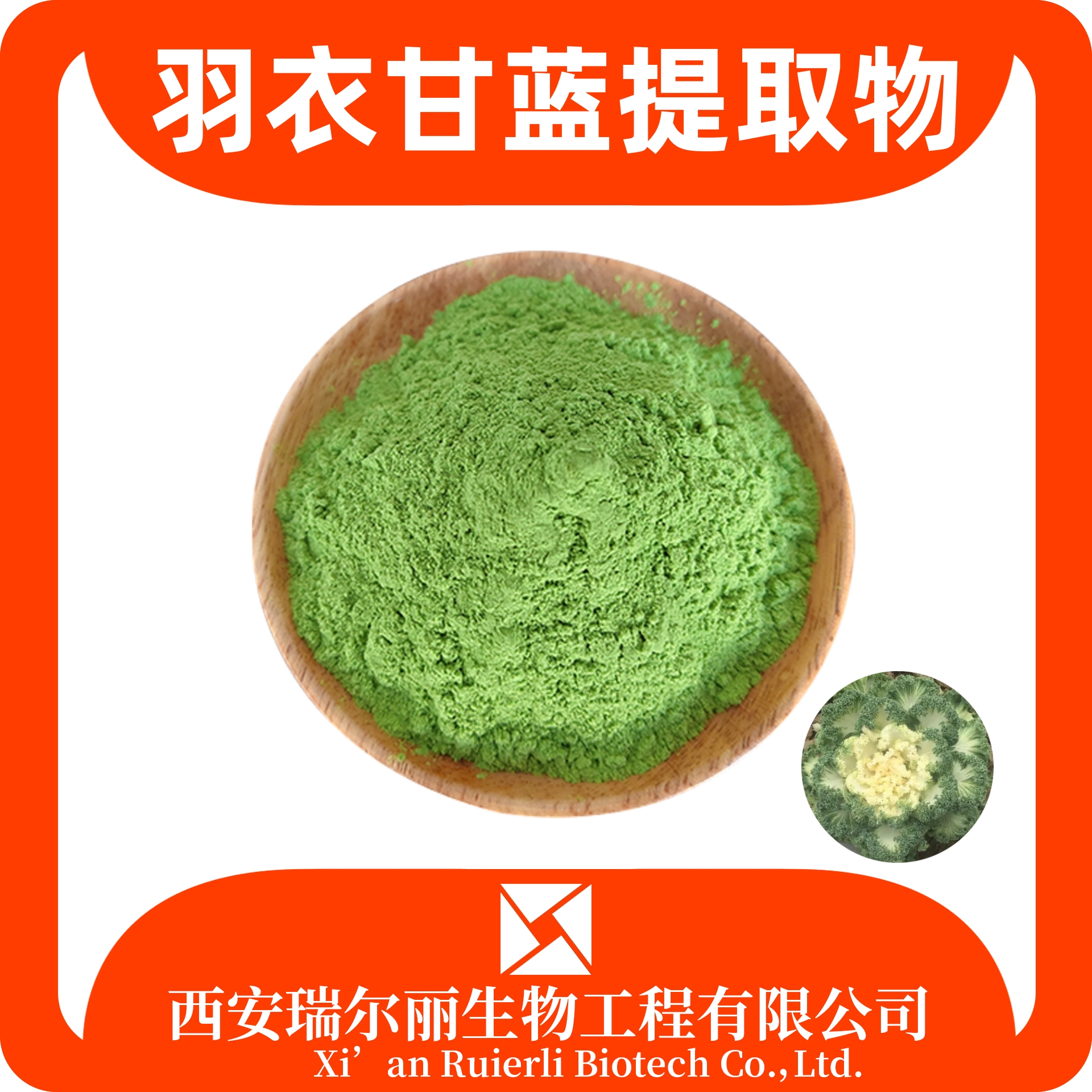 羽衣甘蓝提取物 速溶浓缩 食品原料 SC证可定制 免费拿样 瑞尔丽生物