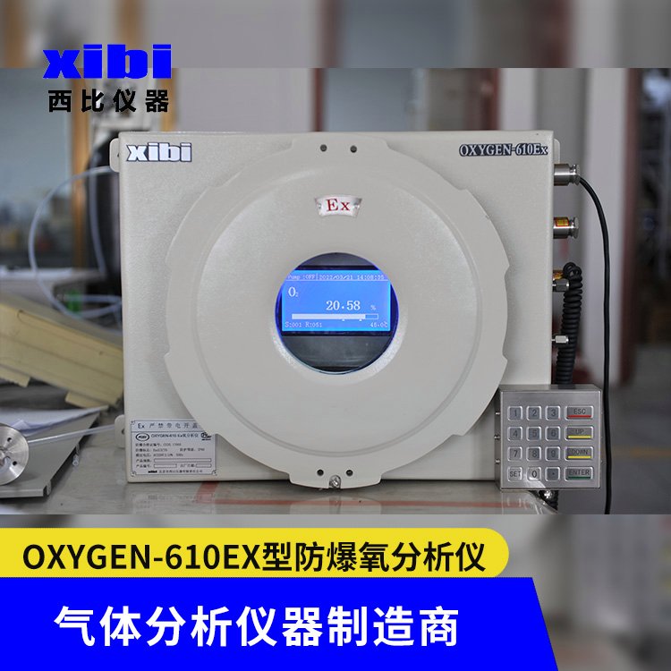 OXYGEN-610Ex型 氧含量分析仪 电化学、磁力机械式