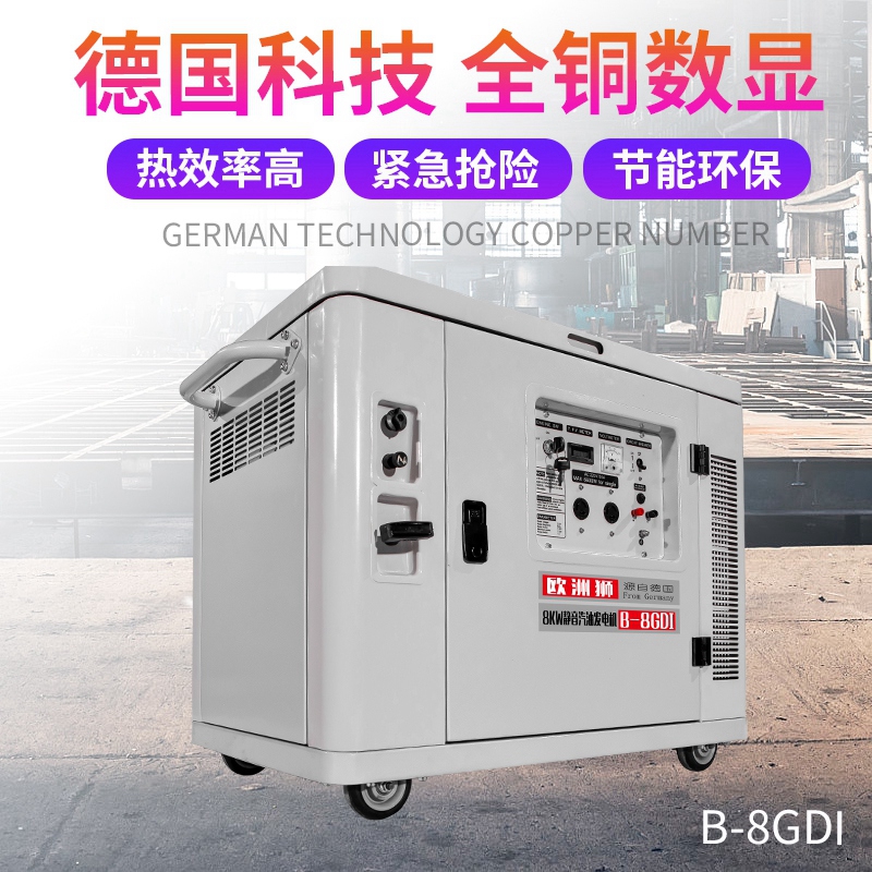 欧洲狮动力8kw静音汽油发电机 三相四线 箱体式 噪音低 电启动 B-8GDI