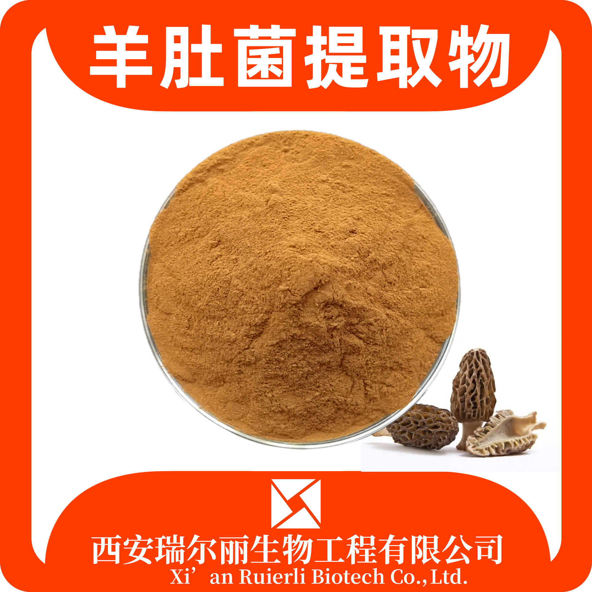 羊肚菌提取物10：1羊蘑粉 速溶羊肚菜浸膏粉 sc证可定制 源头工厂