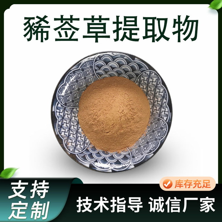 豨莶草提取物 10:1肥猪草水溶粉 喷雾干燥原料 1公斤起订