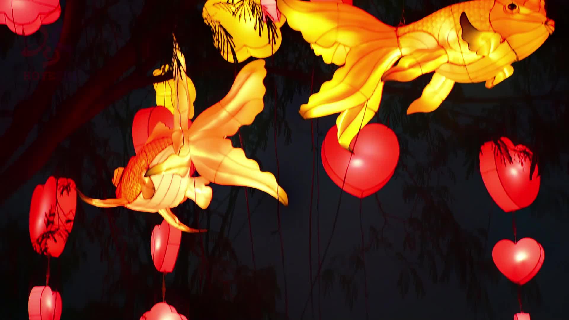 视频