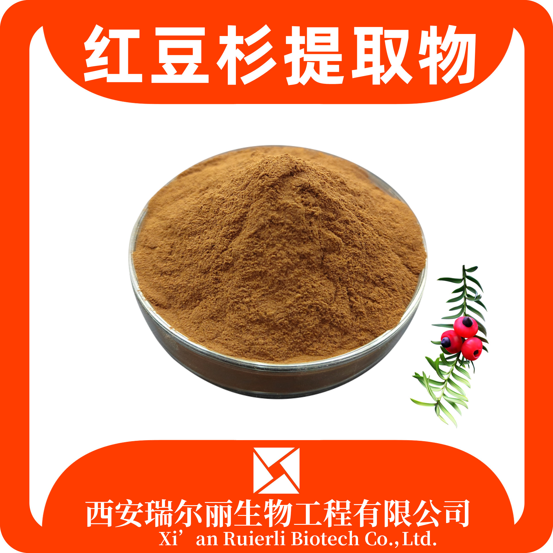 红豆杉提取物10：1 红豆杉粉 速溶浓缩 可定制 瑞尔丽生物 源头工厂