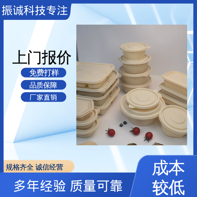 可冷冻 一次性方碗 符合限塑标准餐盒 振诚科技