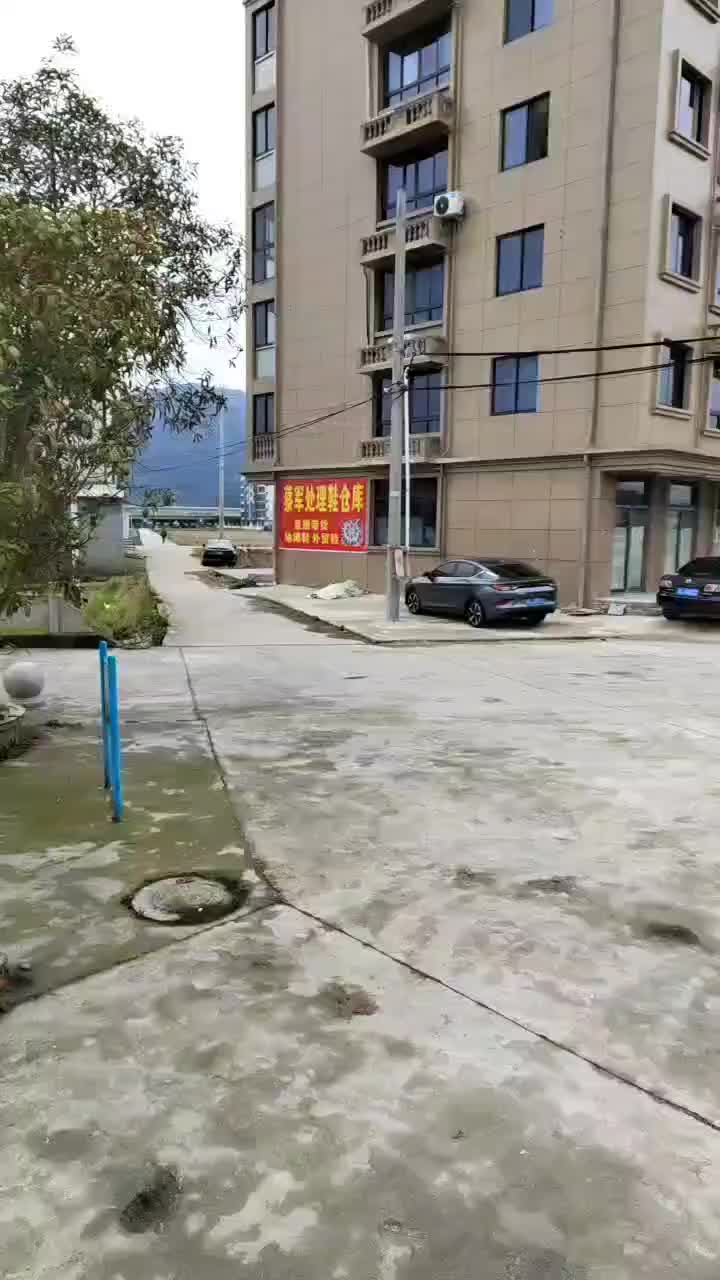 视频