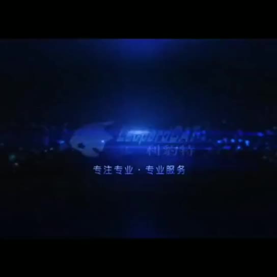 利豹特气动风磨笔刻磨机磨头抛光打磨神器打磨工具迷你抛光打磨机