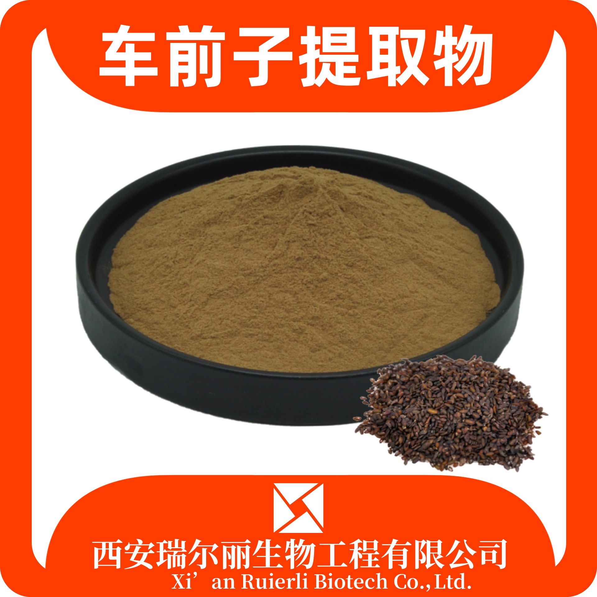 车前子提取物 速溶车前子粉 SC证可定制 食品原料 瑞尔丽生物 源头厂家