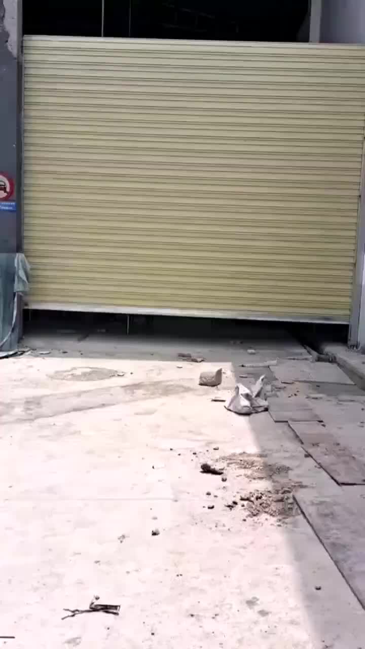 视频