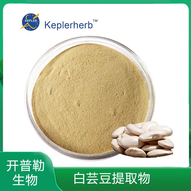 白芸豆提取物 水溶性白芸豆粉 白芸豆浓缩粉 支持定制