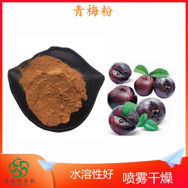 青梅粉 水溶性粉末 固体饮料原料 可代加工 货源充足