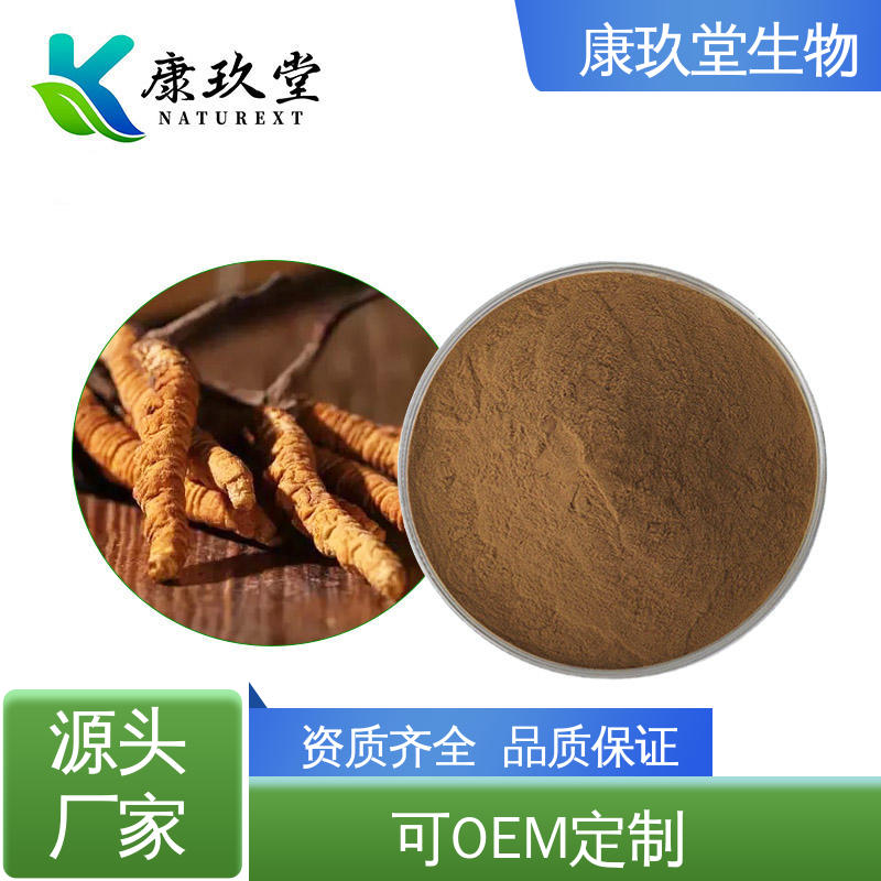 康玖堂 蛹虫草植物提取物 资质齐全 25公斤/桶 Cordyceps Extract