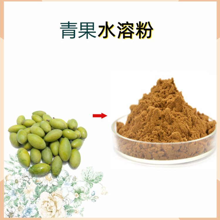 青果粉 水溶性原料 橄榄果粉 压片制粒要求均能满足