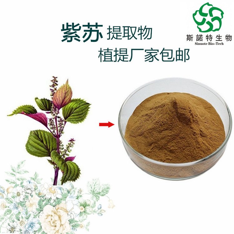 紫苏提取物 干燥叶子萃取 浓缩粉 质量稳定 常年供应