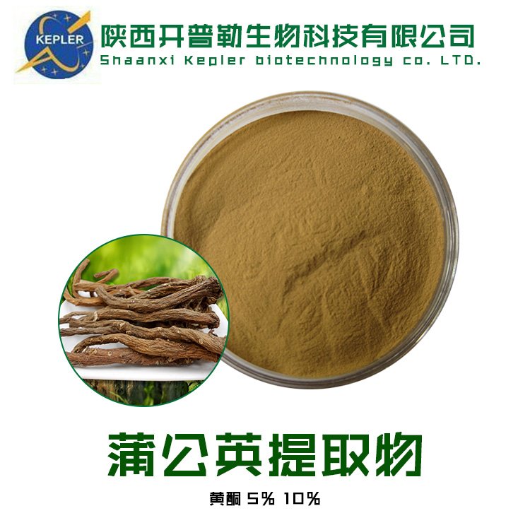蒲公英根提取物 水溶蒲公英根粉 10:1 浸膏 蒲公英根黄酮