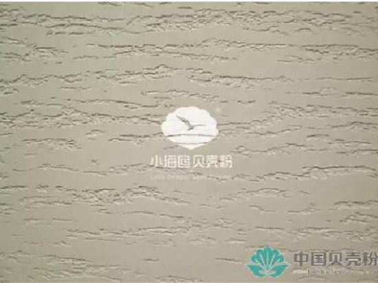小海鸥贝壳粉