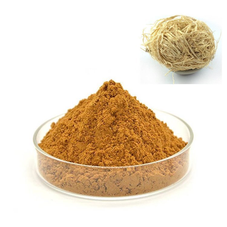 竹茹提取物 斯诺特生物浓缩萃取粉 细菌微水分检测