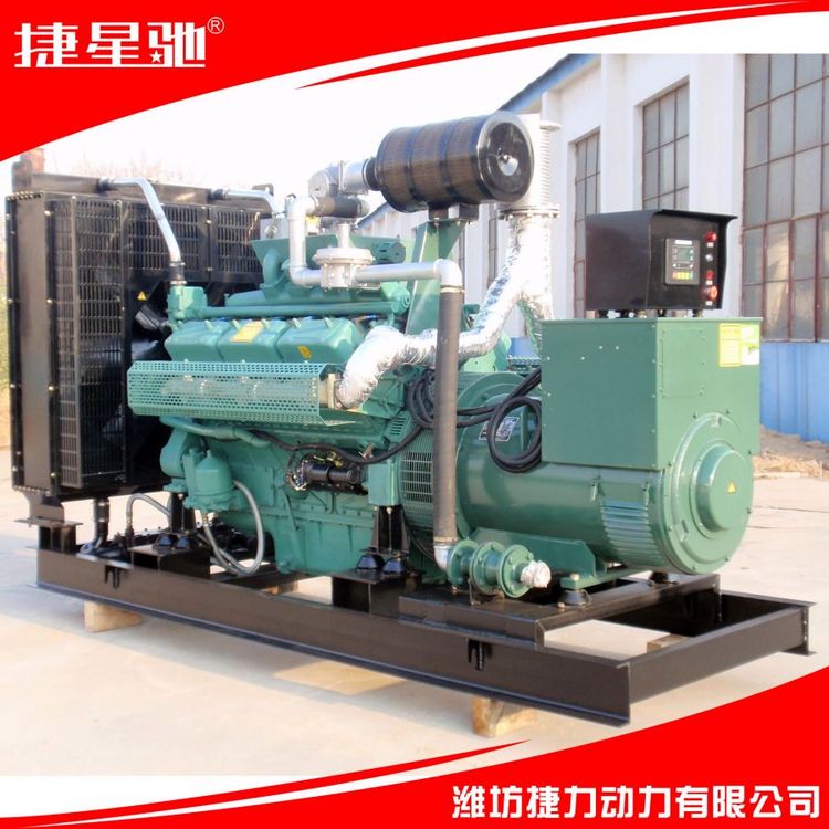 200KW 上柴 天然气 沼气 柴油 发电机组 静音 集装箱 电站