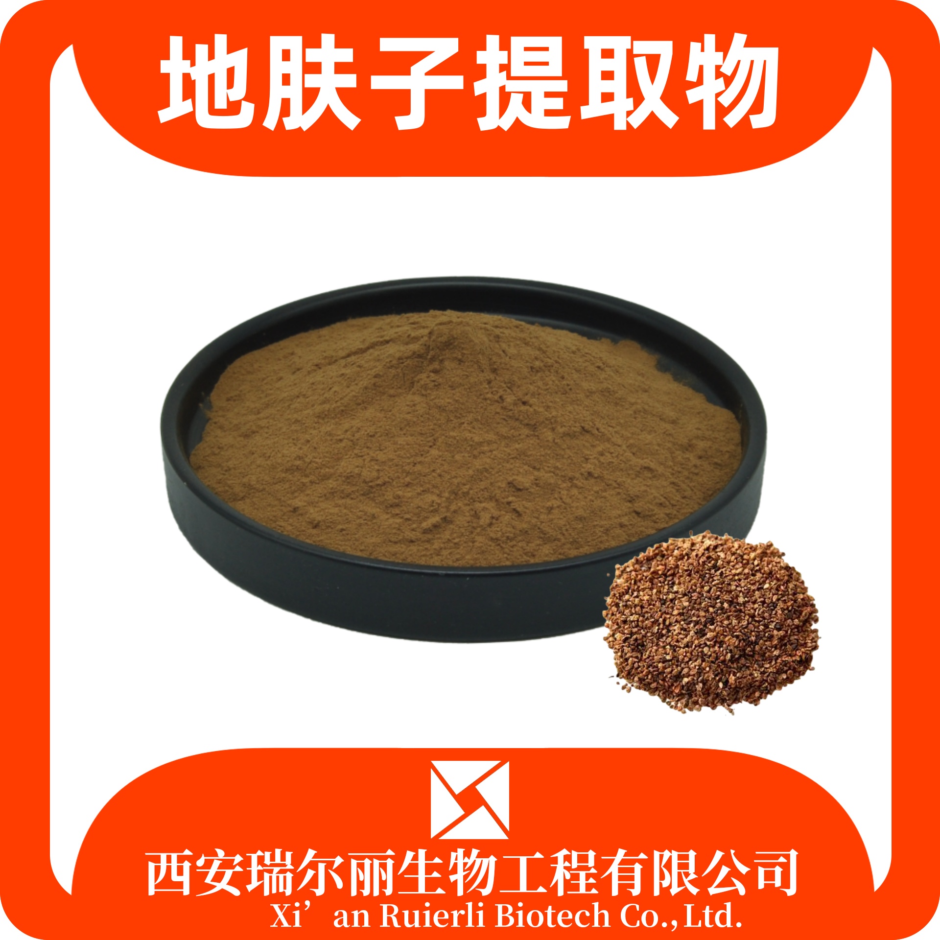 地肤子提取物 地葵粉 速溶地肤子粉 食品原料 sc证 瑞尔丽生物 源头厂家