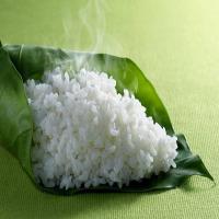 圣牛