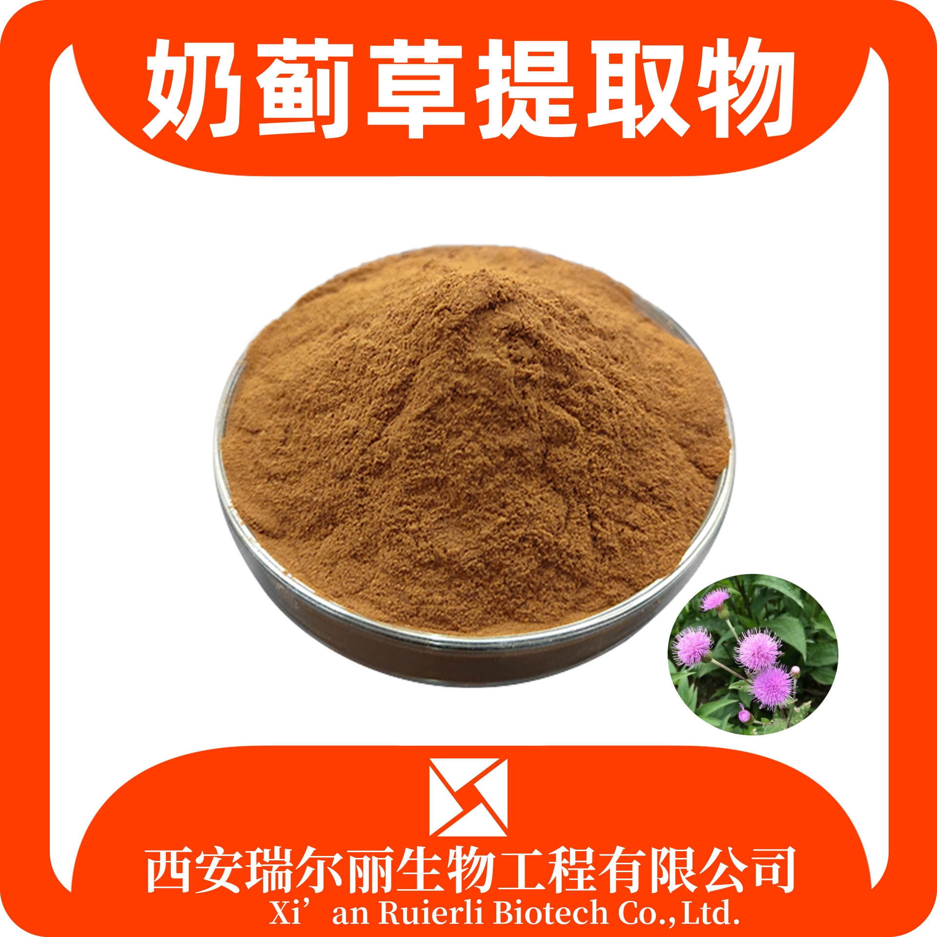 奶蓟草提取物 奶蓟草粉 水飞蓟提取物 SC证可定制 源头厂家 瑞尔丽生物
