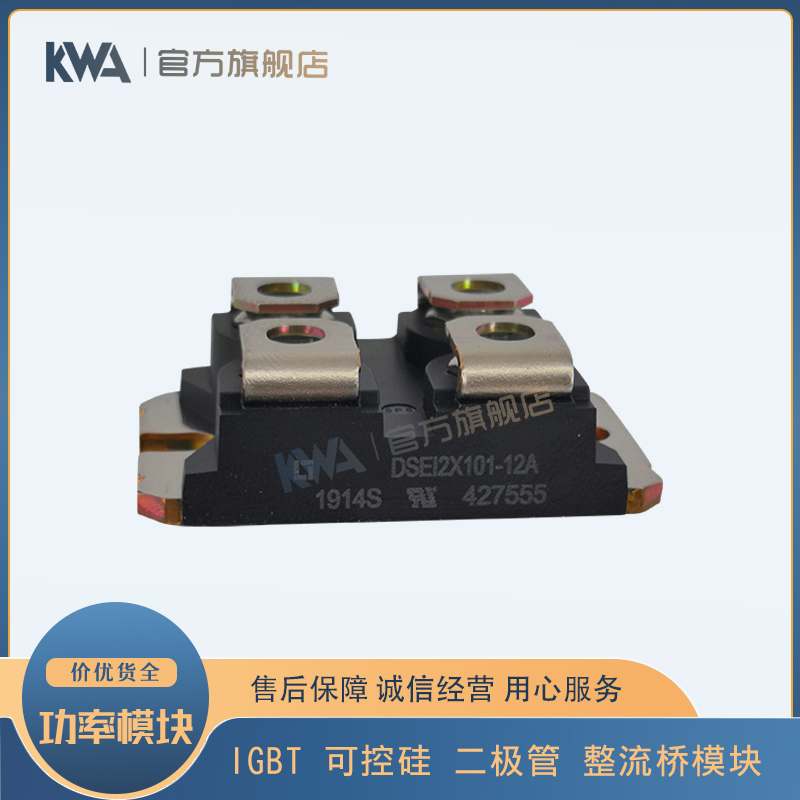 快恢复二极管DSEI2X101-06A/12A DSEI2X61-02A//04C/06C/10B/12B