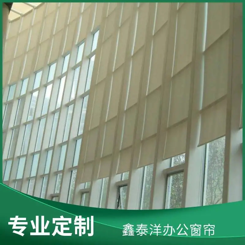 体育馆阳光面料电动卷帘 酒店大厅立面玻璃遮阳帘安装视频