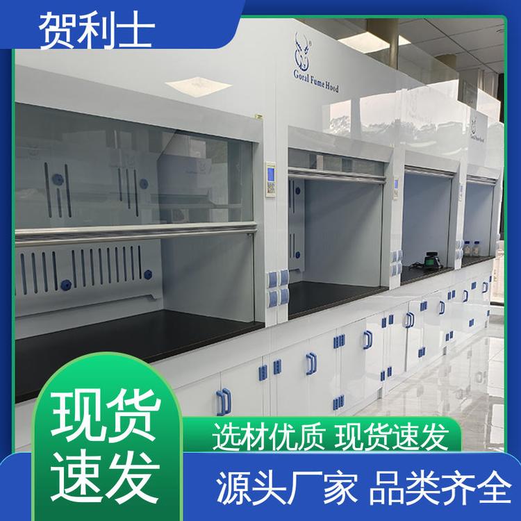 防尘防静电 落地型通风柜 匠心优选 多年经验 耐高温 贺利士
