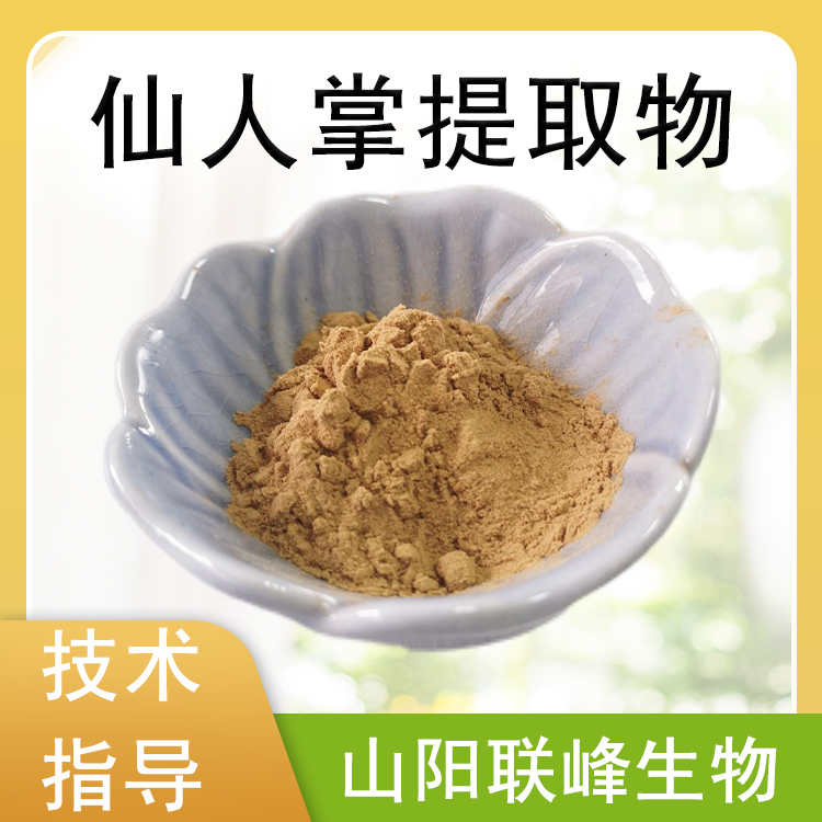 仙人掌提取物 10：1仙人掌粉 食品原料 棕黄色粉末 1公斤起批