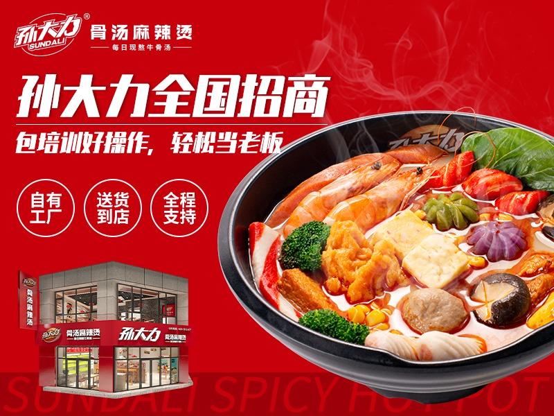 孙大力