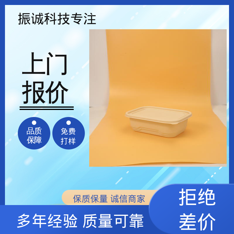 振诚科技 一次性分格餐碗 符合限塑标准餐盒 加厚 儿童带餐便携环保