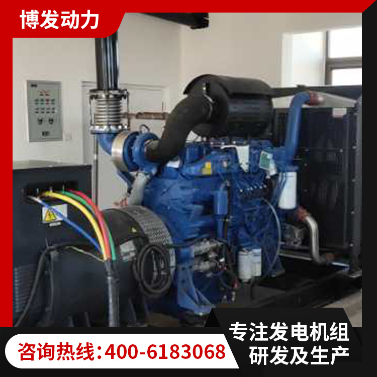 200KW备用玉柴柴油发电机组 200千瓦无刷发电机 支持定制