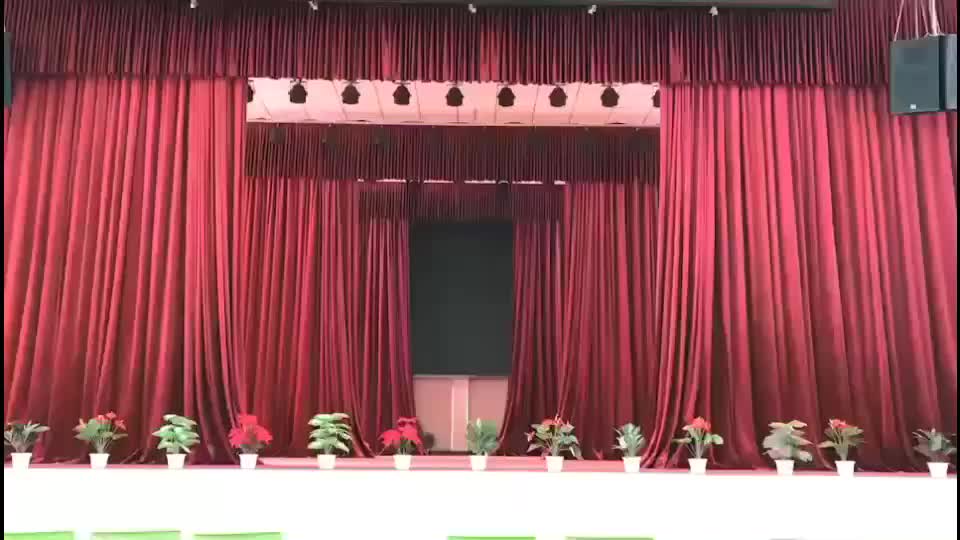 视频