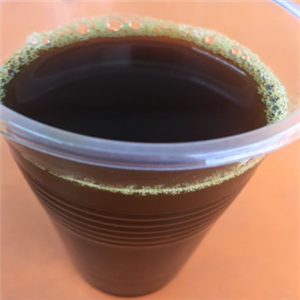郑氏凉茶
