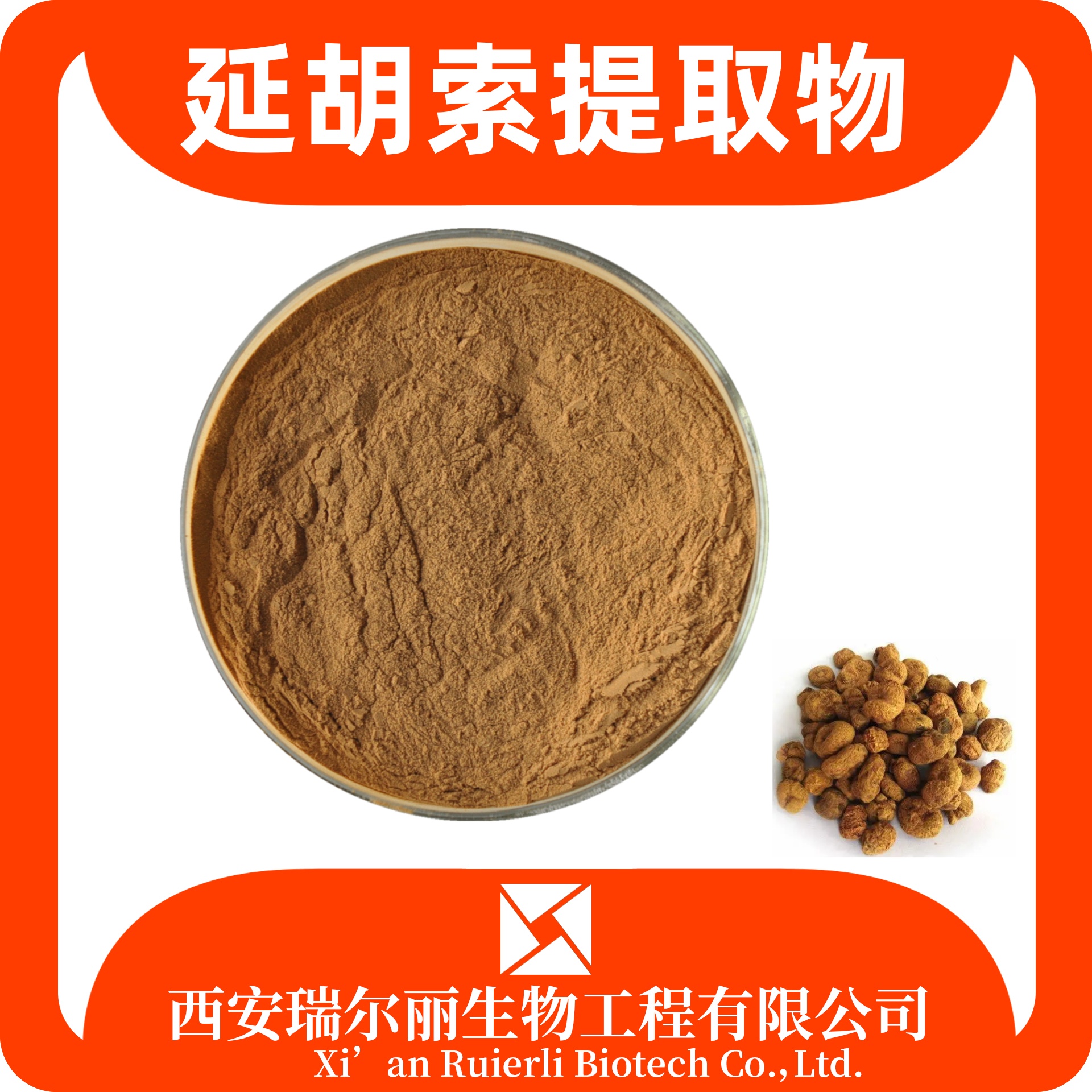 延胡索提取物 速溶延胡索粉 SC证可定制浸膏粉 瑞尔丽生物 源头厂家