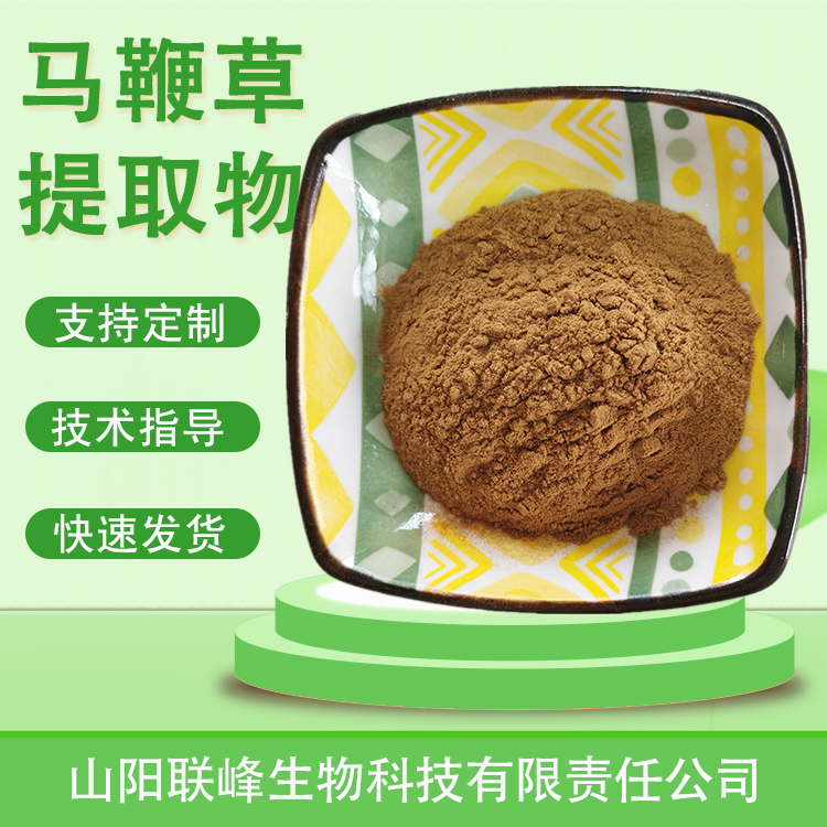 食品级马鞭草提取物 10：1水溶浓缩浸膏粉 马鞭草粉 植物萃取原料