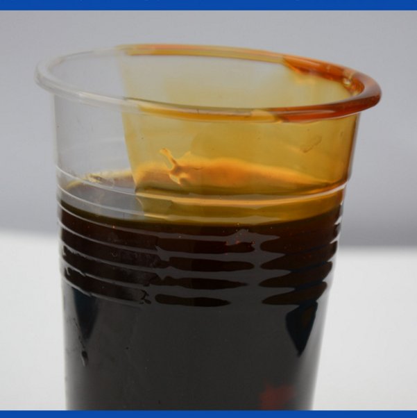 用作纺织、印染助剂和液体洗涤剂石油磺酸钠生产厂家现货