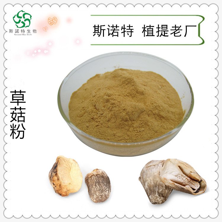 斯诺特 草菇粉 溶于水 烘焙固饮都可 库存充足 常年发货