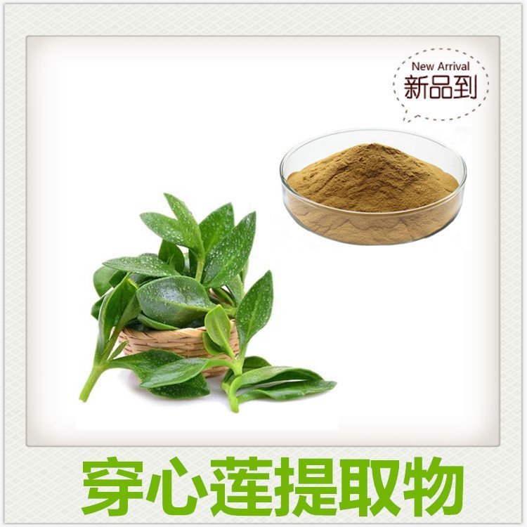 穿心莲提取物 支持拿样检测 多规格比例浓缩斯诺特生物