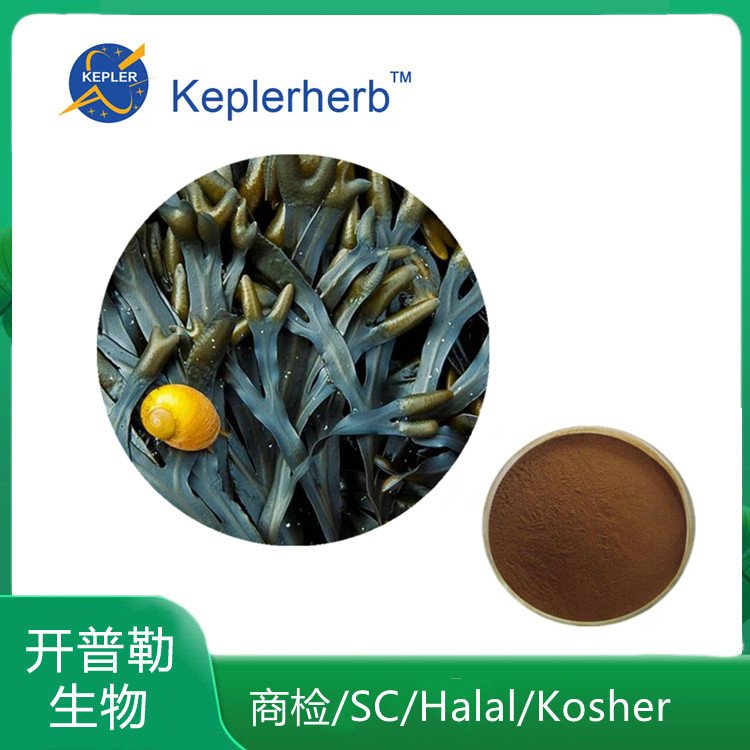 墨角藻提取物 水溶 墨角藻粉 墨角藻浓缩粉 KPL-0042