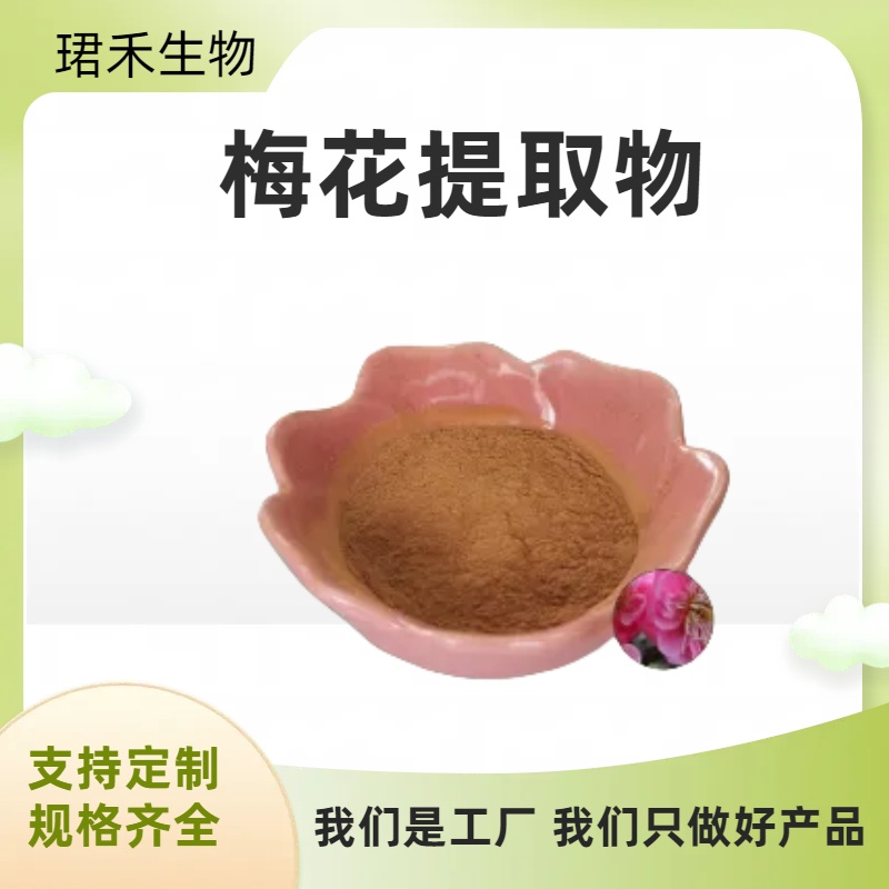 梅花提取物10:1 速溶梅花粉 梅花浸膏 现货包邮 珺禾生物