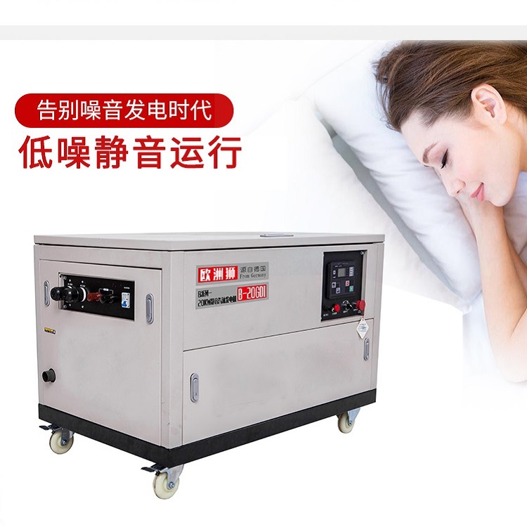 欧洲狮10KW静音汽油发电机别墅用 15/20/25/30千瓦全自动220V380V