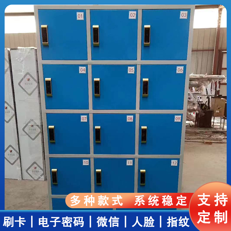 智能储物柜 体育场休息室换衣鞋柜 刷卡式寄存柜 12门共享置物柜
