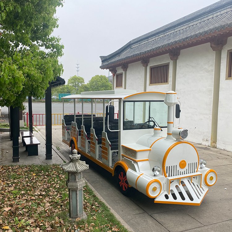 多灵 燃油观光小火车 仿火车造型电动旅游观光车生产厂家
