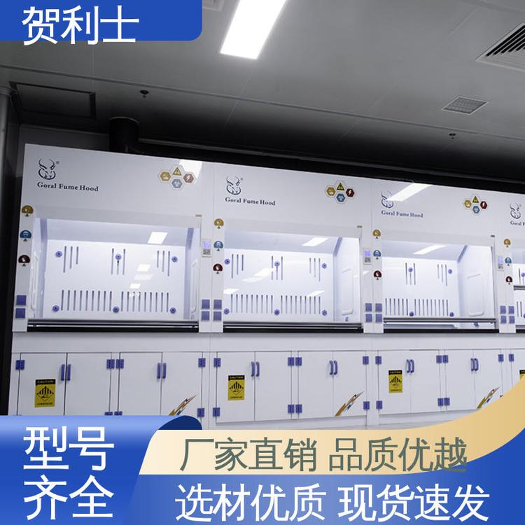 品种多样 长期供应 耐高温 pp材质通风柜 适用范围广 贺利士