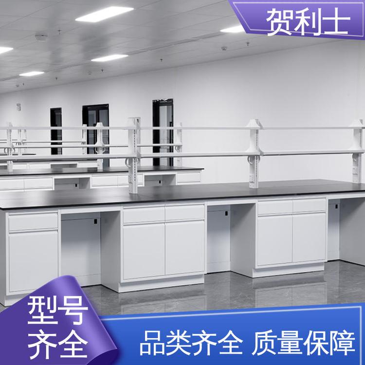 全钢实验台 耐火 性能优越 品种多样 长期供应 贺利士