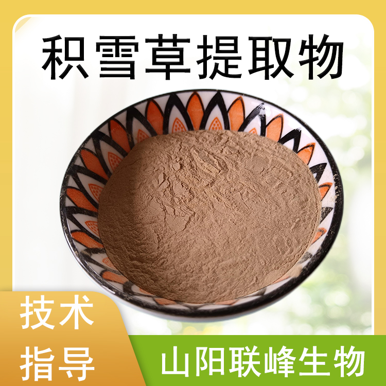 积雪草提取物 10：1水溶浓缩粉 积雪草粉 植物萃取 食品原料