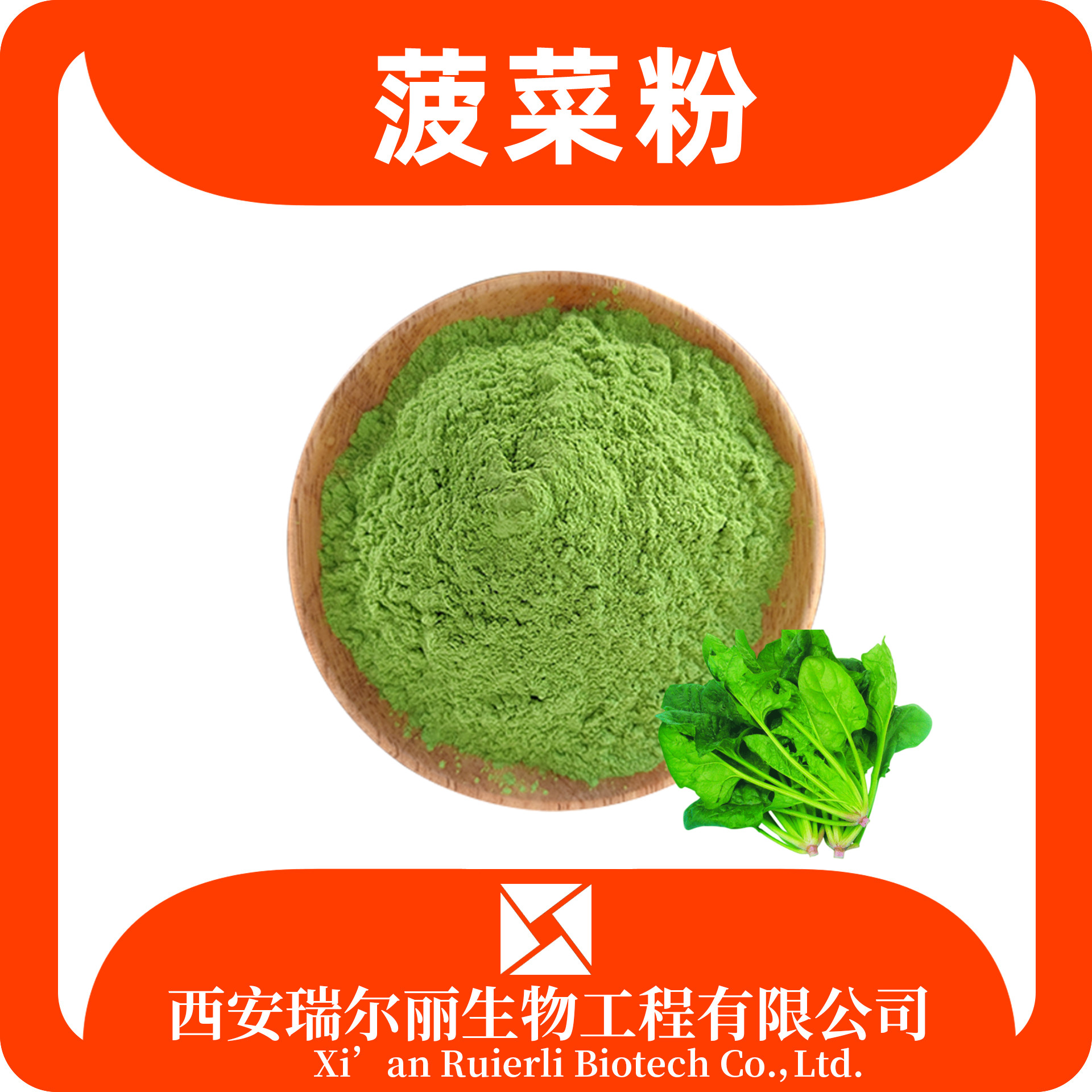 菠菜粉99% 食品级 菠菜提取物 菠菜浸膏 瑞尔丽生物