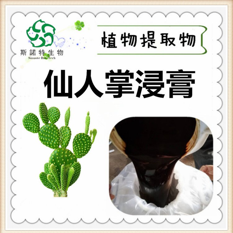 斯诺特 仙人掌浸膏 提取液 植物浓缩萃取 可长期供应