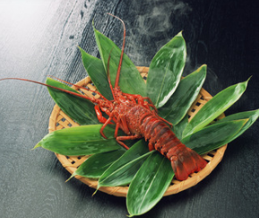 北京胖子龙虾