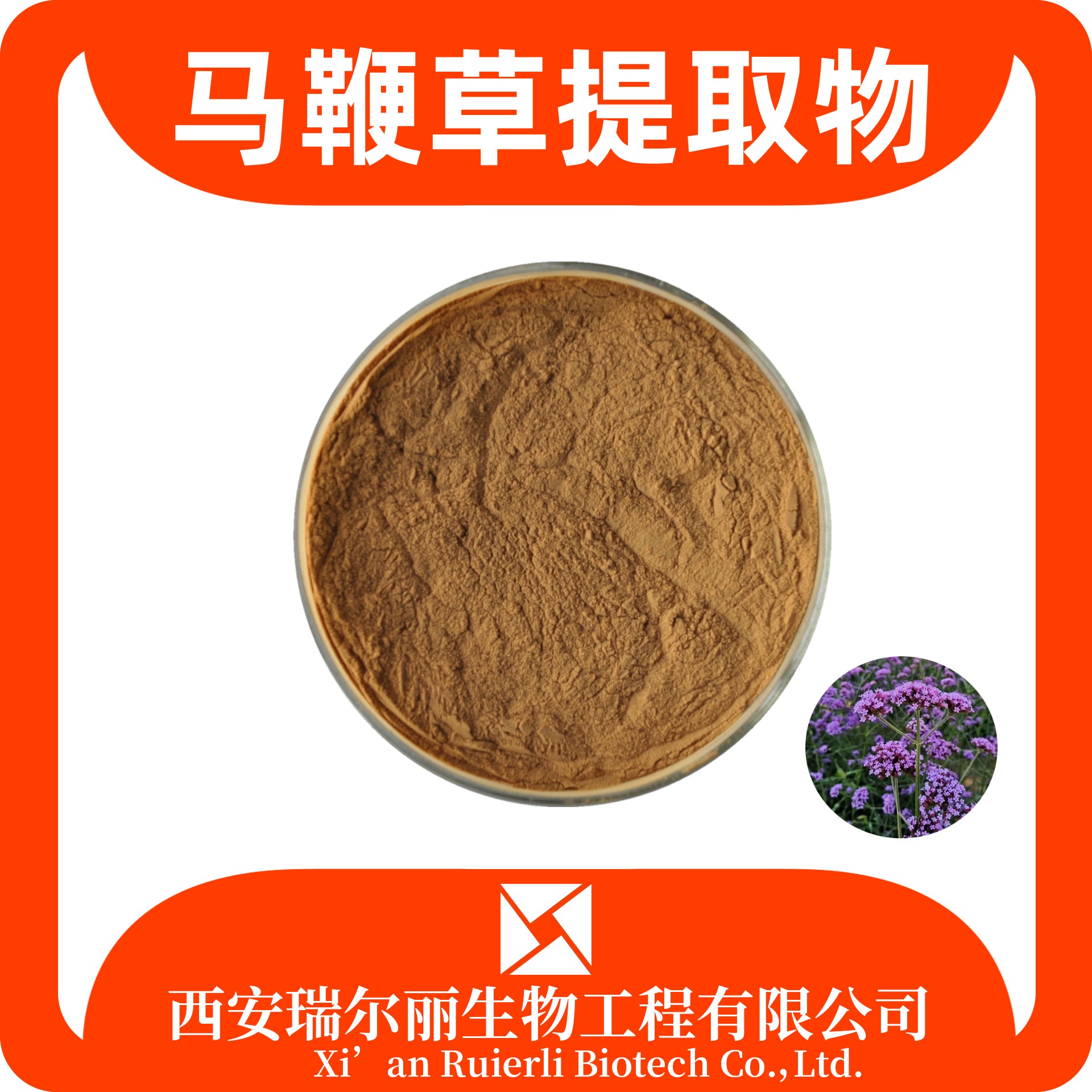 马鞭草提取物 马鞭草粉 速溶浓 食品级 SC证坑定制 瑞尔丽生物 源头厂家